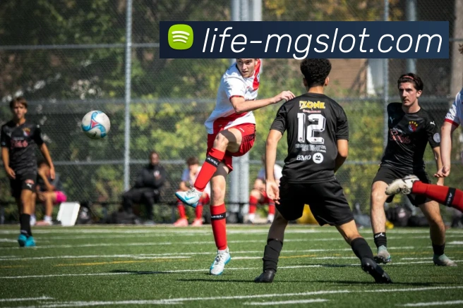 MG电子官网平台生态图