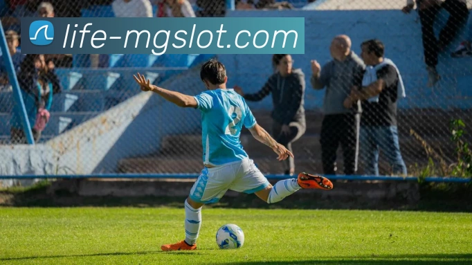 MG电子官网APP 封面图